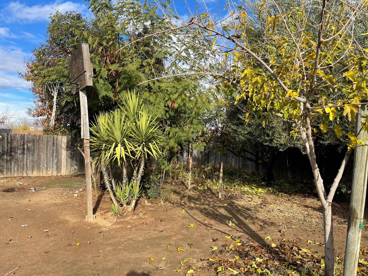 405 Fig Street Madera, CA 93638 - Photo 4 of 22 a view of a yard with plants and trees