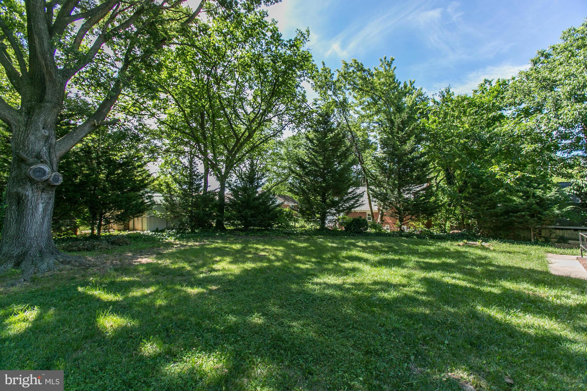 5815 Danbury Road Springfield, VA 22150 - Photo 25 of 27 a big yard with lots of green space and deers