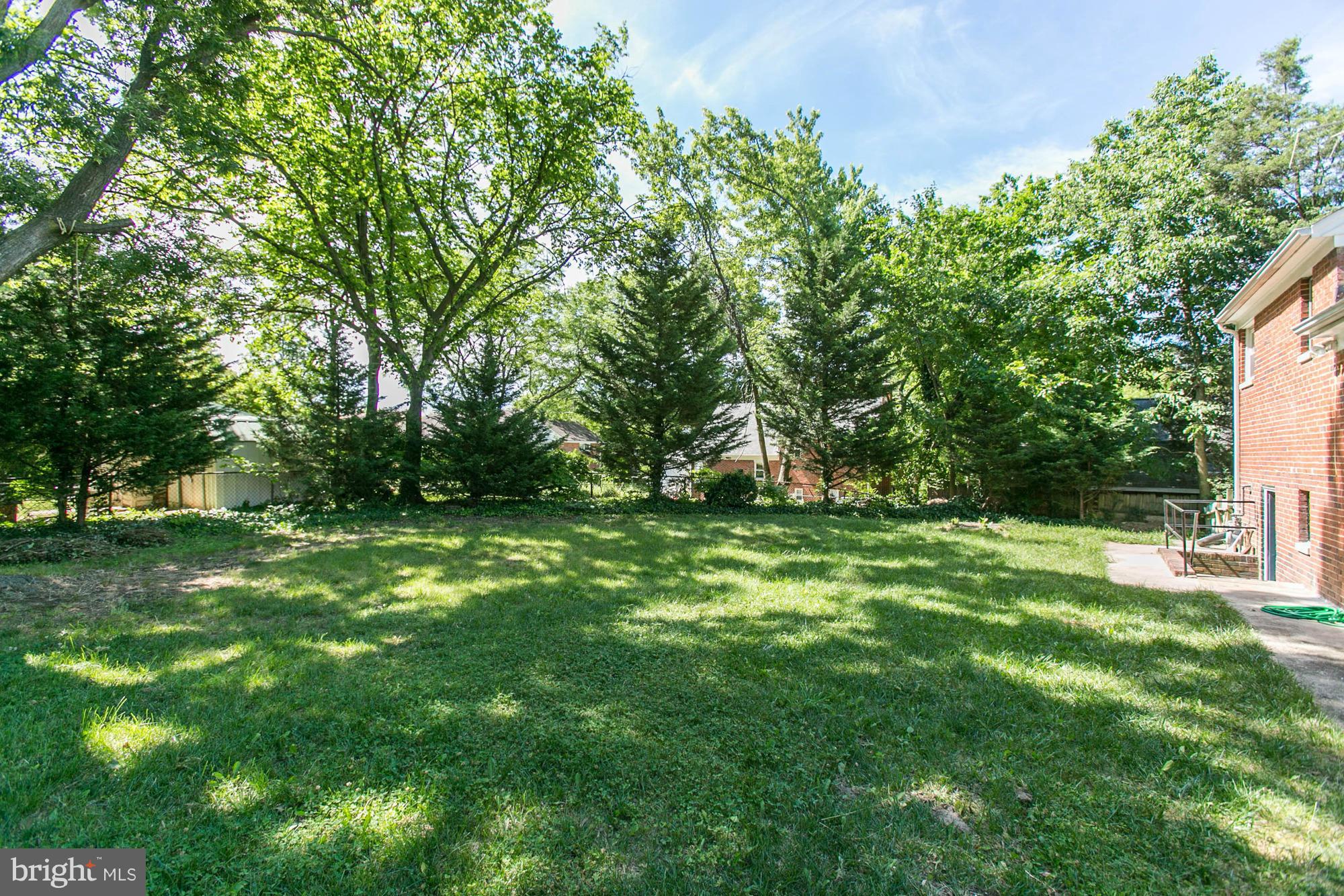 5815 Danbury Road Springfield, VA 22150 - Photo 26 of 27 a view of a yard with a tree