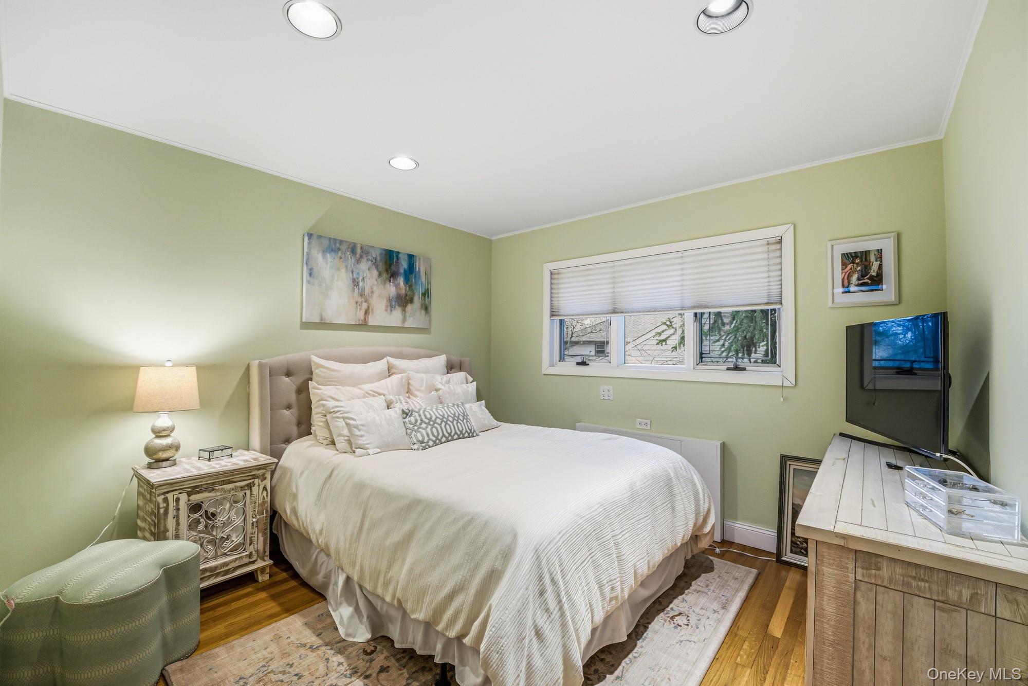 123 Robby Lane Manhasset Hills, NY 11040 - Photo 17 of 30 a bedroom with a bed and a flat screen tv