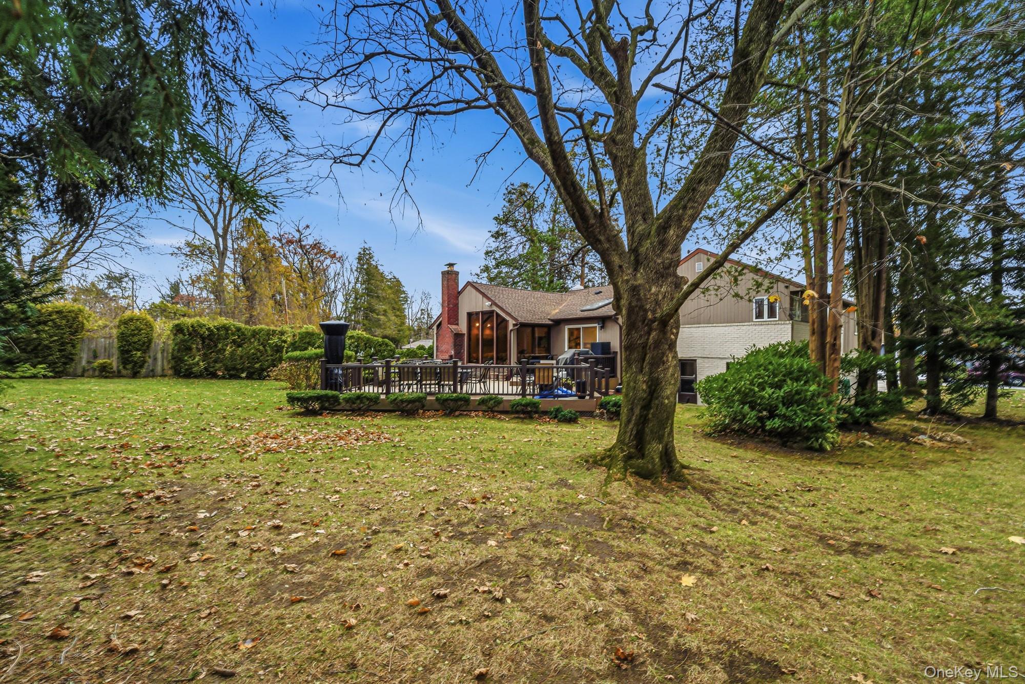 123 Robby Lane Manhasset Hills, NY 11040 - Photo 23 of 30 a view of backyard with table and chairs and a large tree