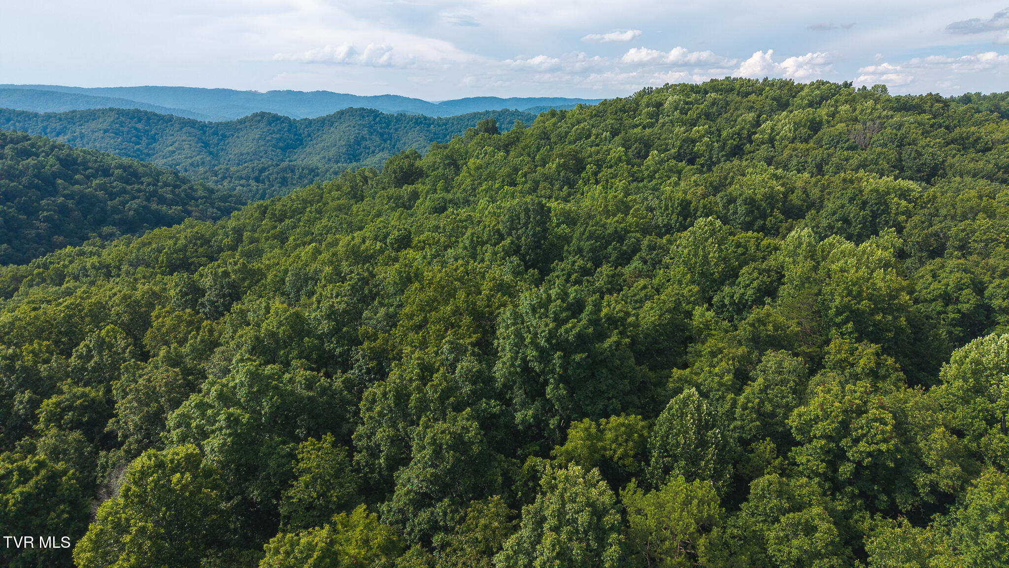 0 Gravely Valley Road Eidson, TN 37731 - Photo 4 of 36 DJI_20250716171023_0749_D