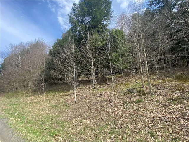 $89,000 | Lot A Piermott Lane, Hartwick, NY 13348