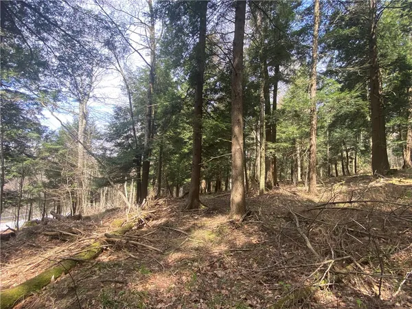 $89,000 | Lot A Piermott Lane, Hartwick, NY 13348