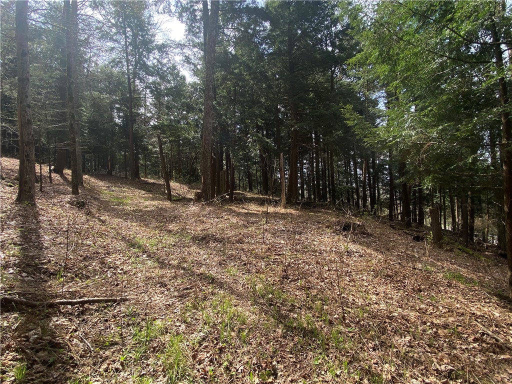 Lot A Piermott Lane Hartwick, NY 13348 - Photo 5 of 11