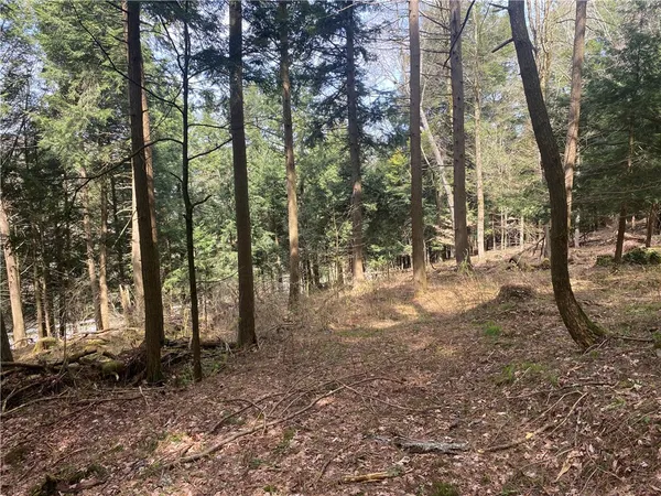 $89,000 | Lot A Piermott Lane, Hartwick, NY 13348