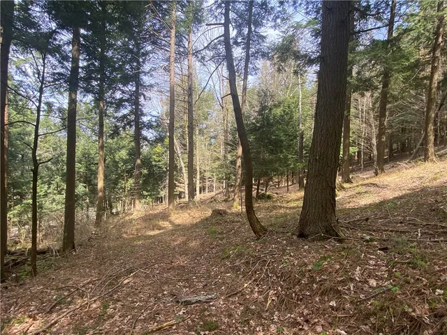 $89,000 | Lot A Piermott Lane, Hartwick, NY 13348