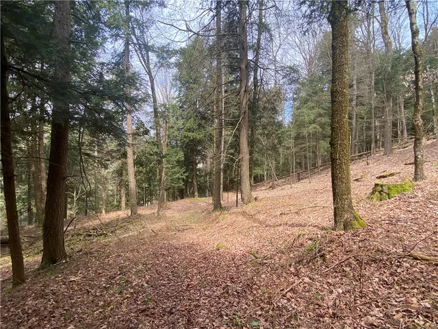 $89,000 | Lot A Piermott Lane, Hartwick, NY 13348