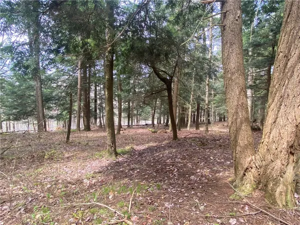 $89,000 | Lot A Piermott Lane, Hartwick, NY 13348