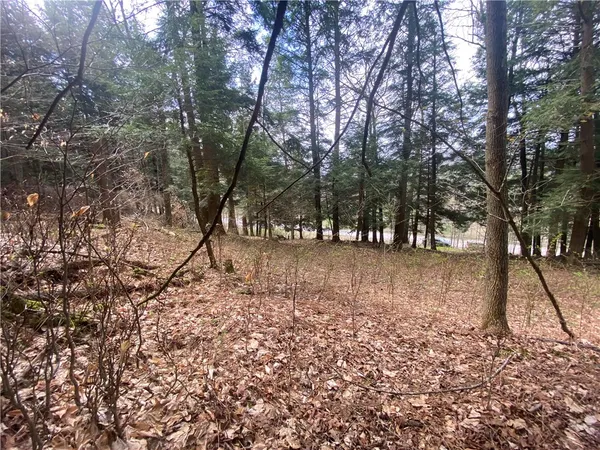 $89,000 | Lot A Piermott Lane, Hartwick, NY 13348