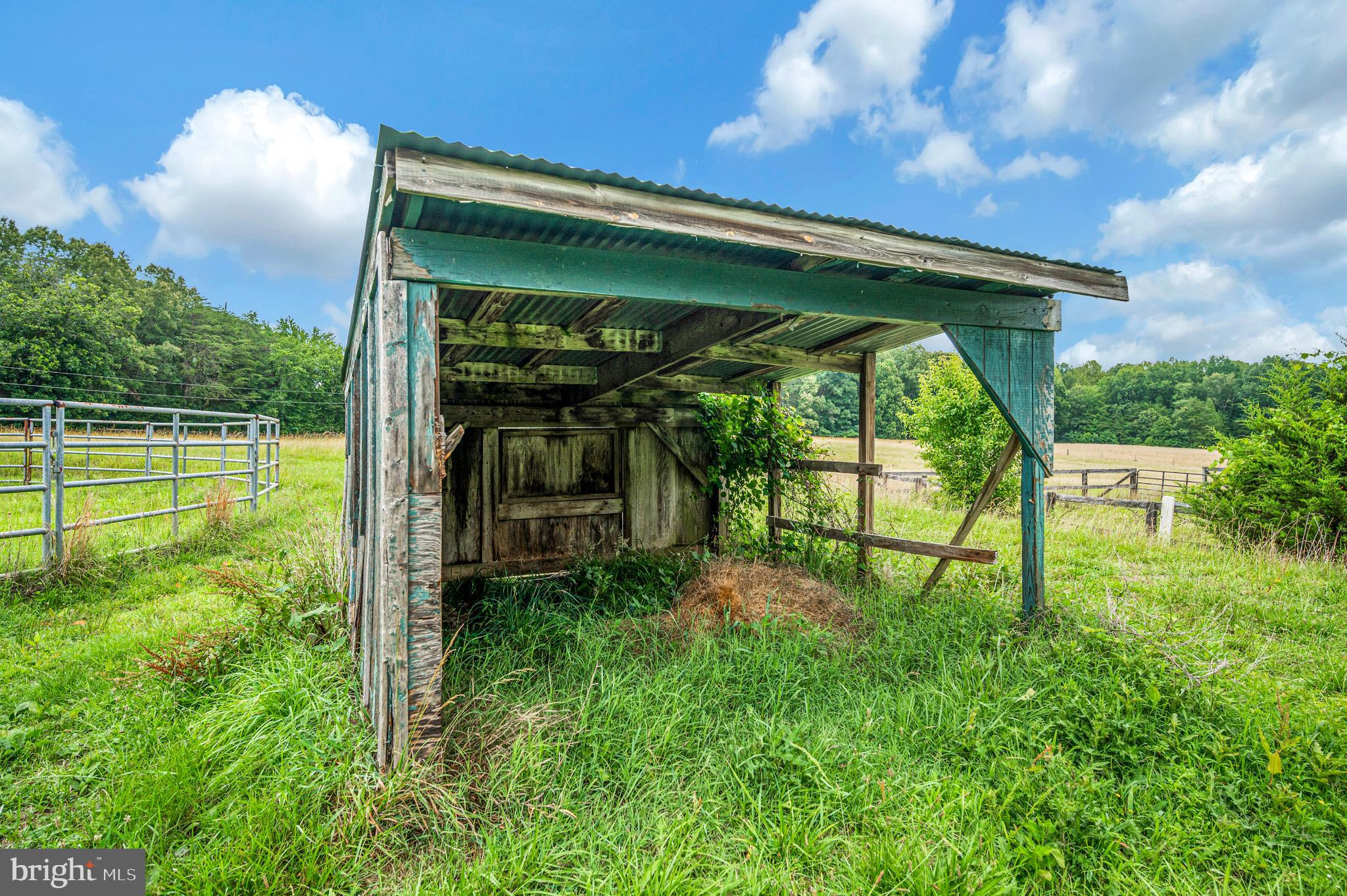 6317 Louisianna Road Locust Grove, VA 22508 - Photo 36 of 57
