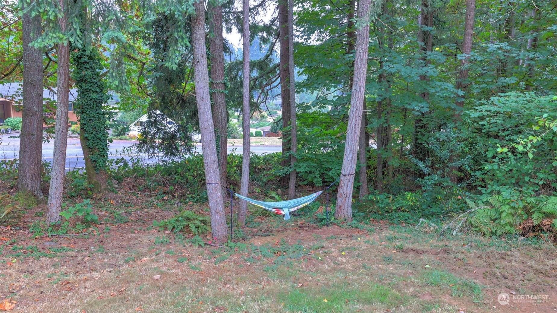 14333 165th Place Southeast Renton, WA 98059 - Photo 28 of 36 a view of outdoor space and garden