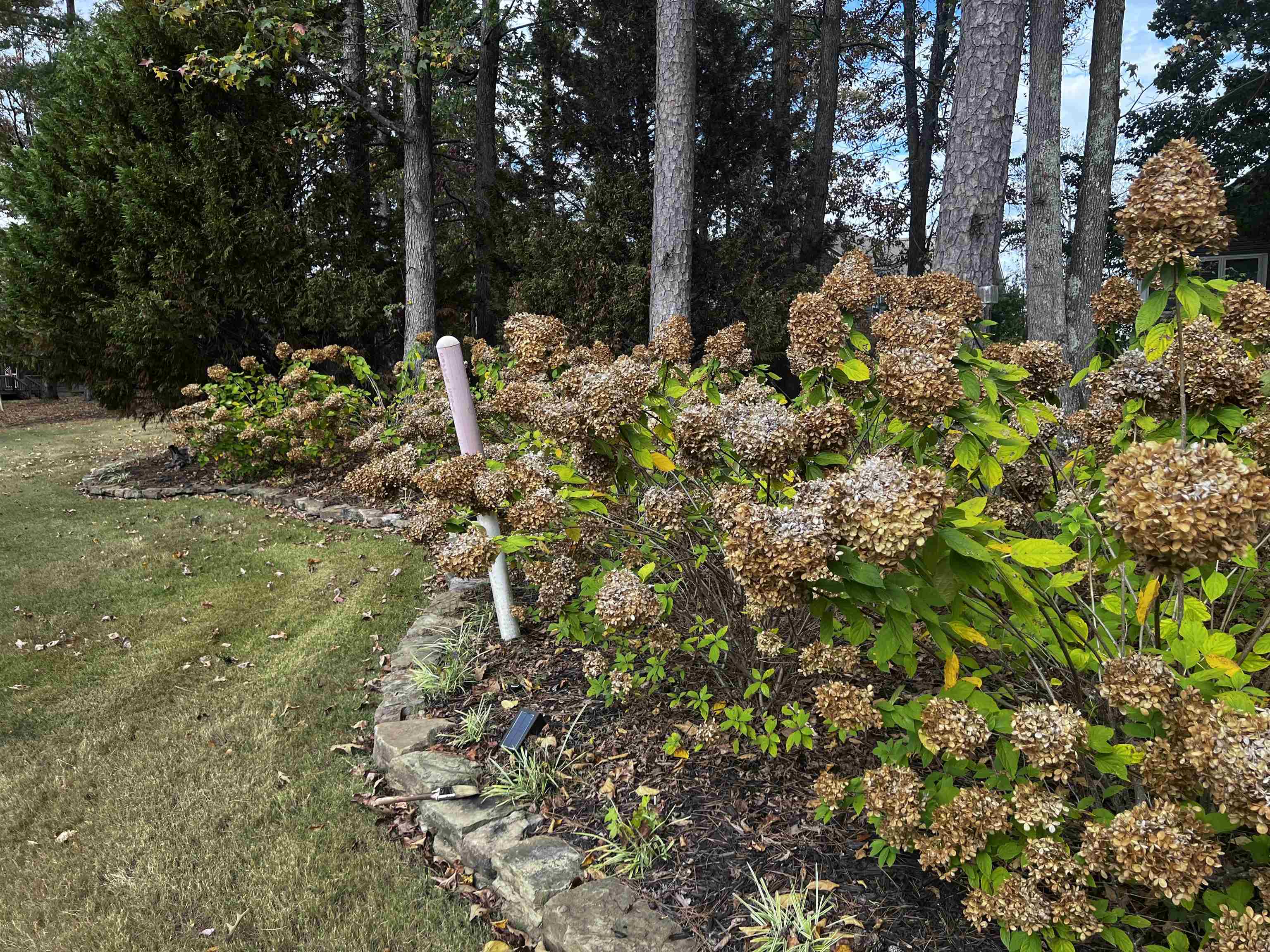 16 Jennifer Junction Iuka, MS 38852 - Photo 32 of 36 a view of a garden with trees