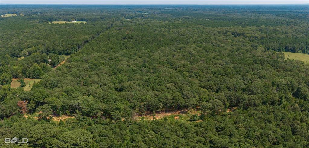 1254 Oliver Road Haughton, LA 71037 - Photo 6 of 7 an aerial view of forest