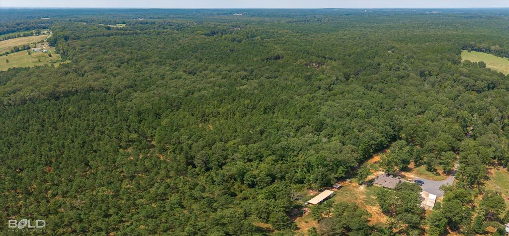 1254 Oliver Road Haughton, LA 71037 - Photo 7 of 7 a view of a field of grass and trees