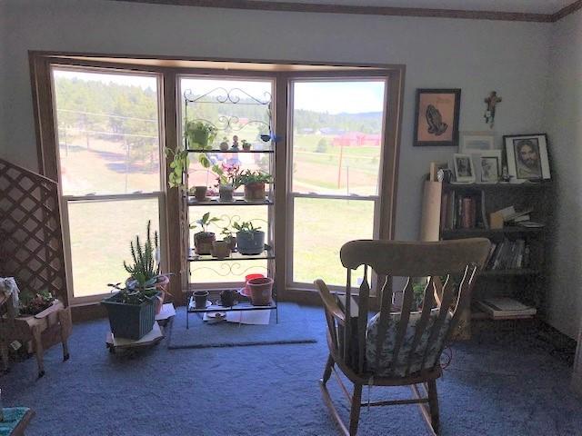 891 North Mountain Estates Road Florissant, CO 80816 - Photo 11 of 14