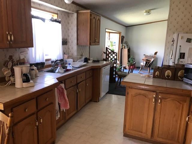 891 North Mountain Estates Road Florissant, CO 80816 - Photo 5 of 14