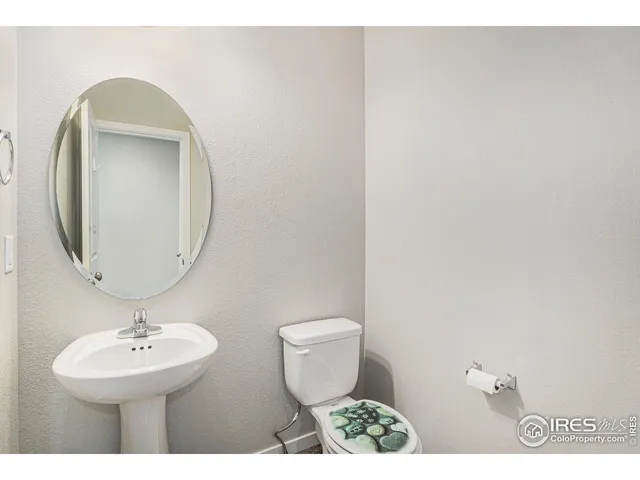 $510,000 | 3787 Buckthorn Street, Wellington, CO 80549