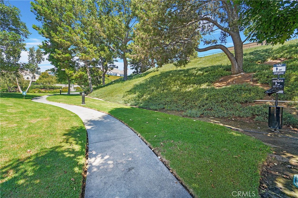 9 Sunbridge Place Dana Point, CA 92629 - Photo 21 of 21 a view of a garden with a tree