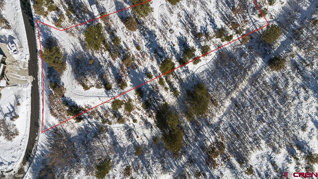 Tbd Scout Ridge Road Durango, CO 81301 - Photo 14 of 14 a view of tree