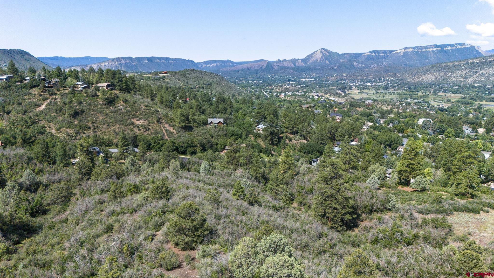 Tbd Scout Ridge Road Durango, CO 81301 - Photo 3 of 14 a view of a lush green forest with trees in the background