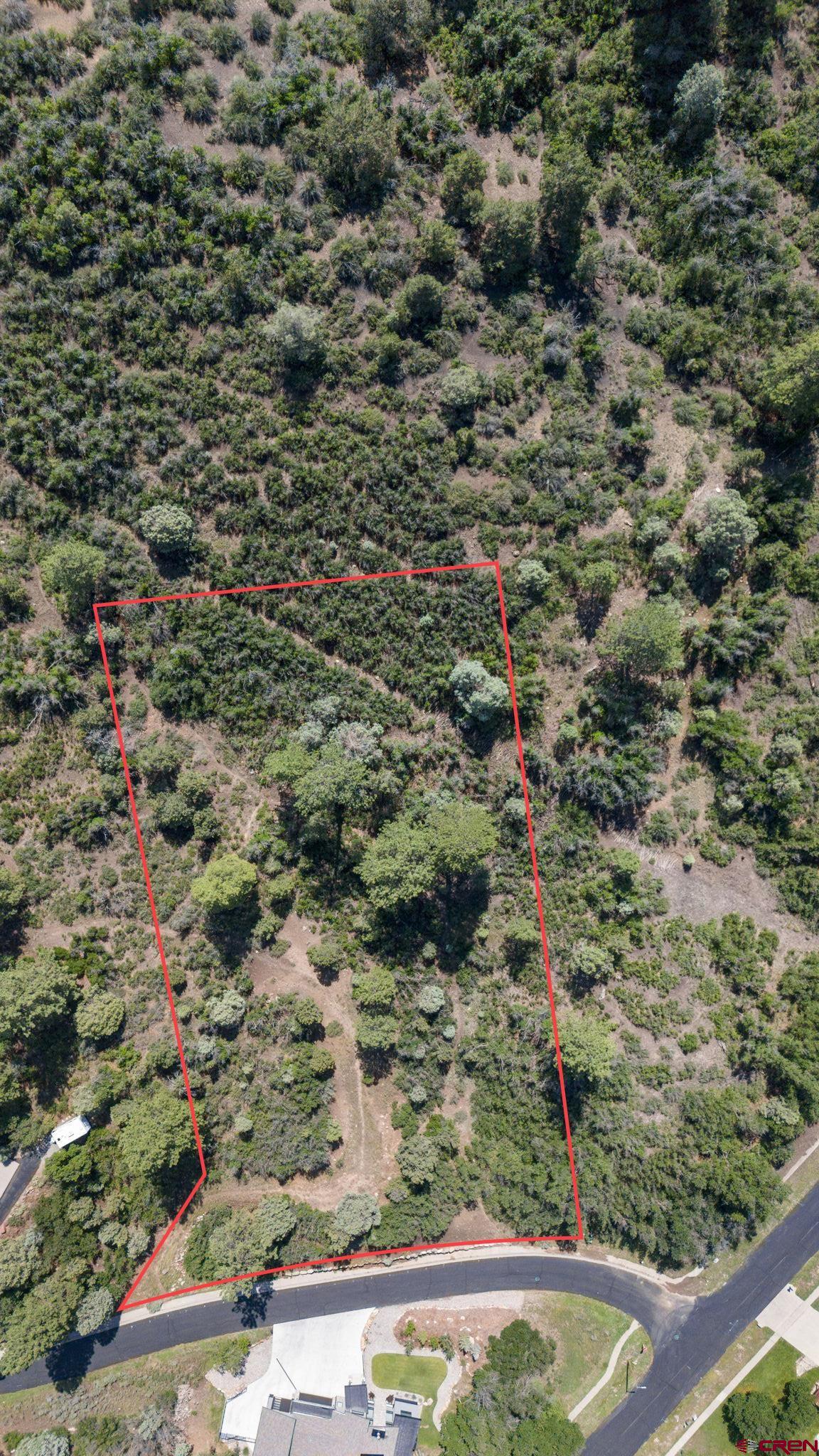 Tbd Scout Ridge Road Durango, CO 81301 - Photo 7 of 14 a view of a yard with plants