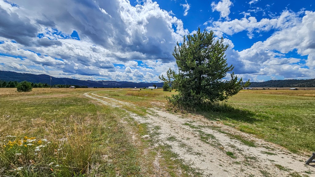 101 Sixty Lane Cascade, ID 83611 - Photo 40 of 52