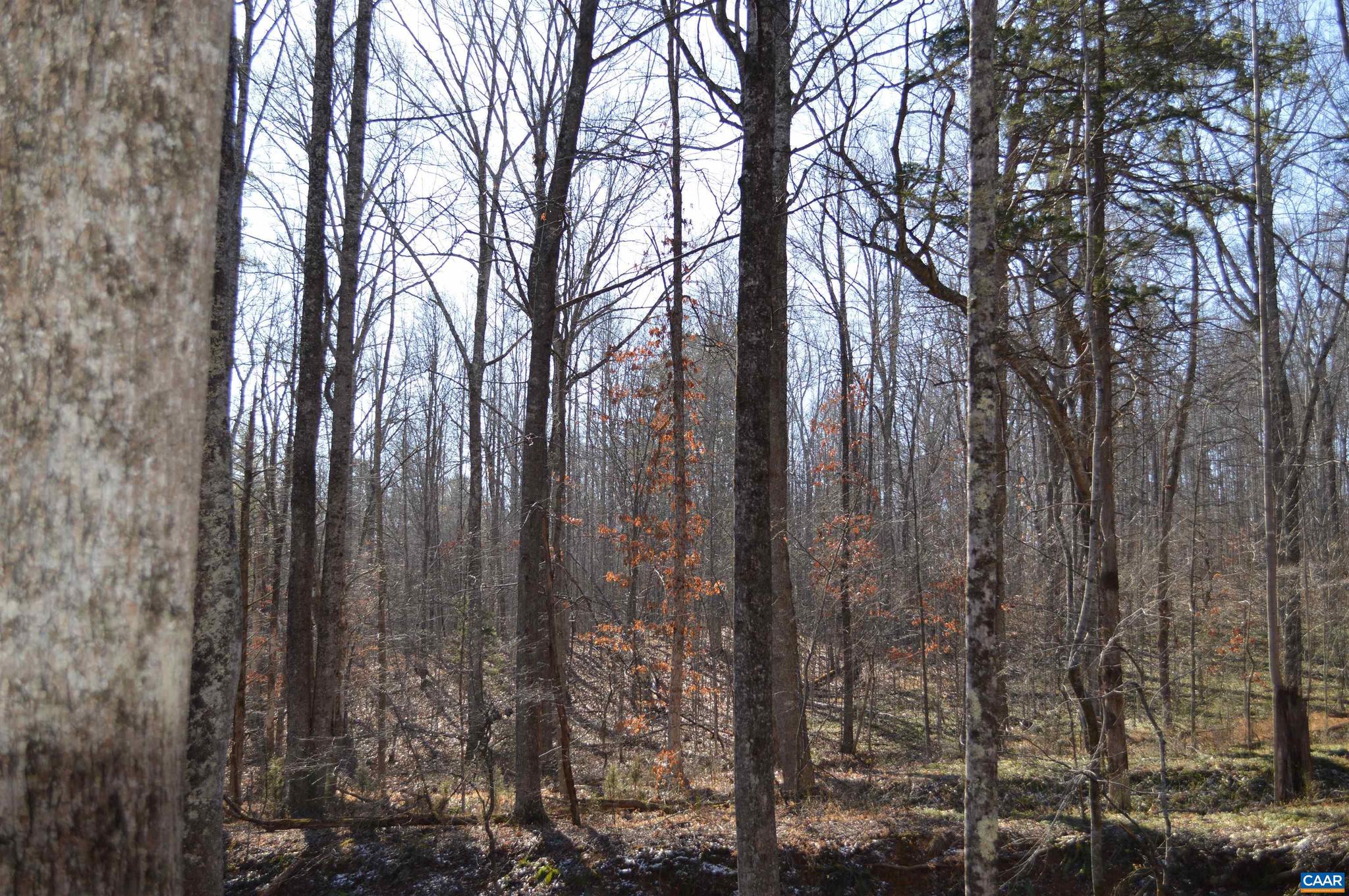 Frays Ridge, Unit 37 Earlysville, VA 22936 - Photo 12 of 18