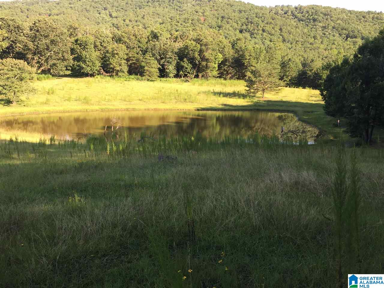 0 Valley Creek Road Piedmont, AL 36272 - Photo 23 of 28
