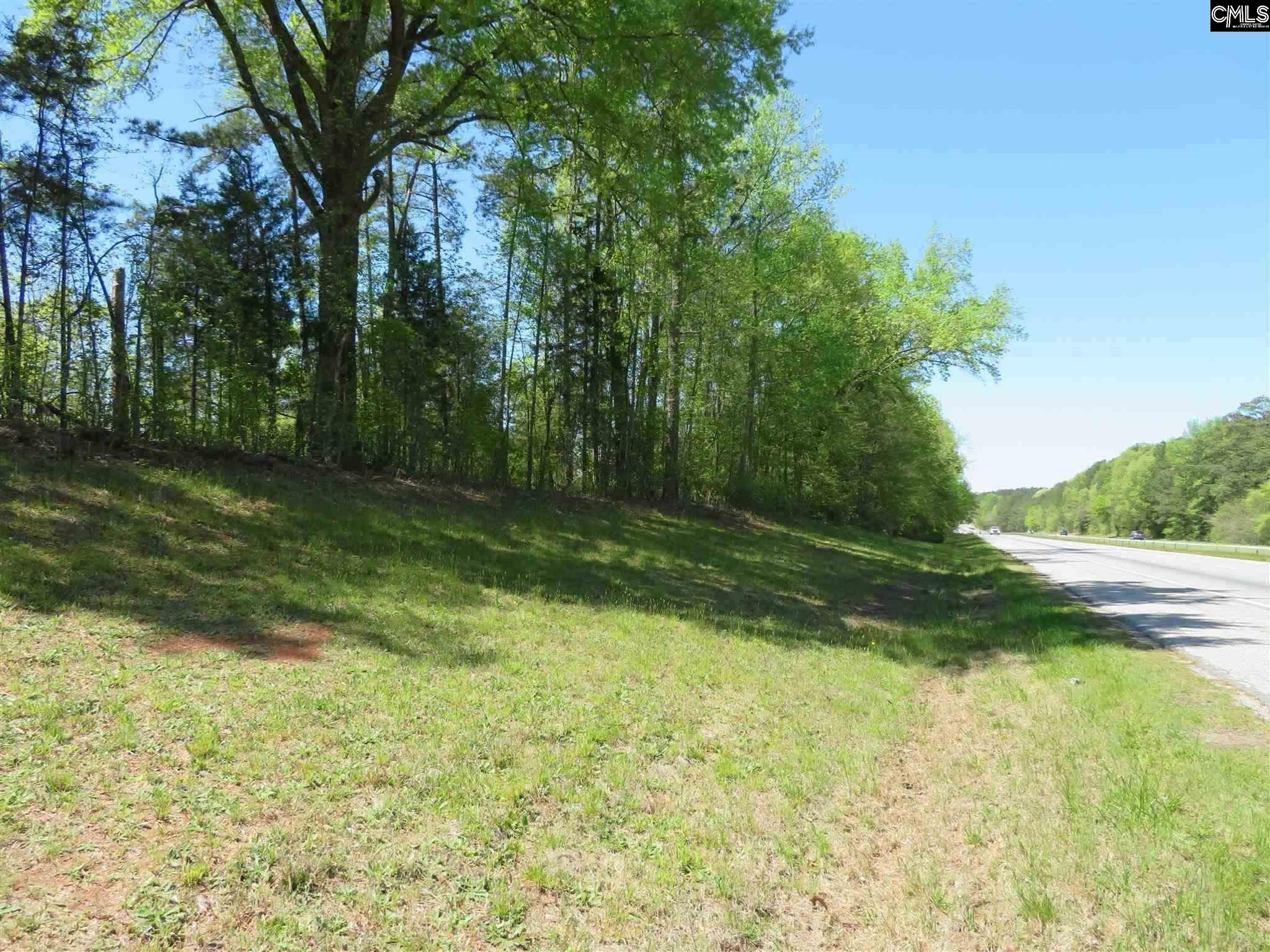0 Parr Road Little Mountain, SC 29075 - Photo 1 of 2