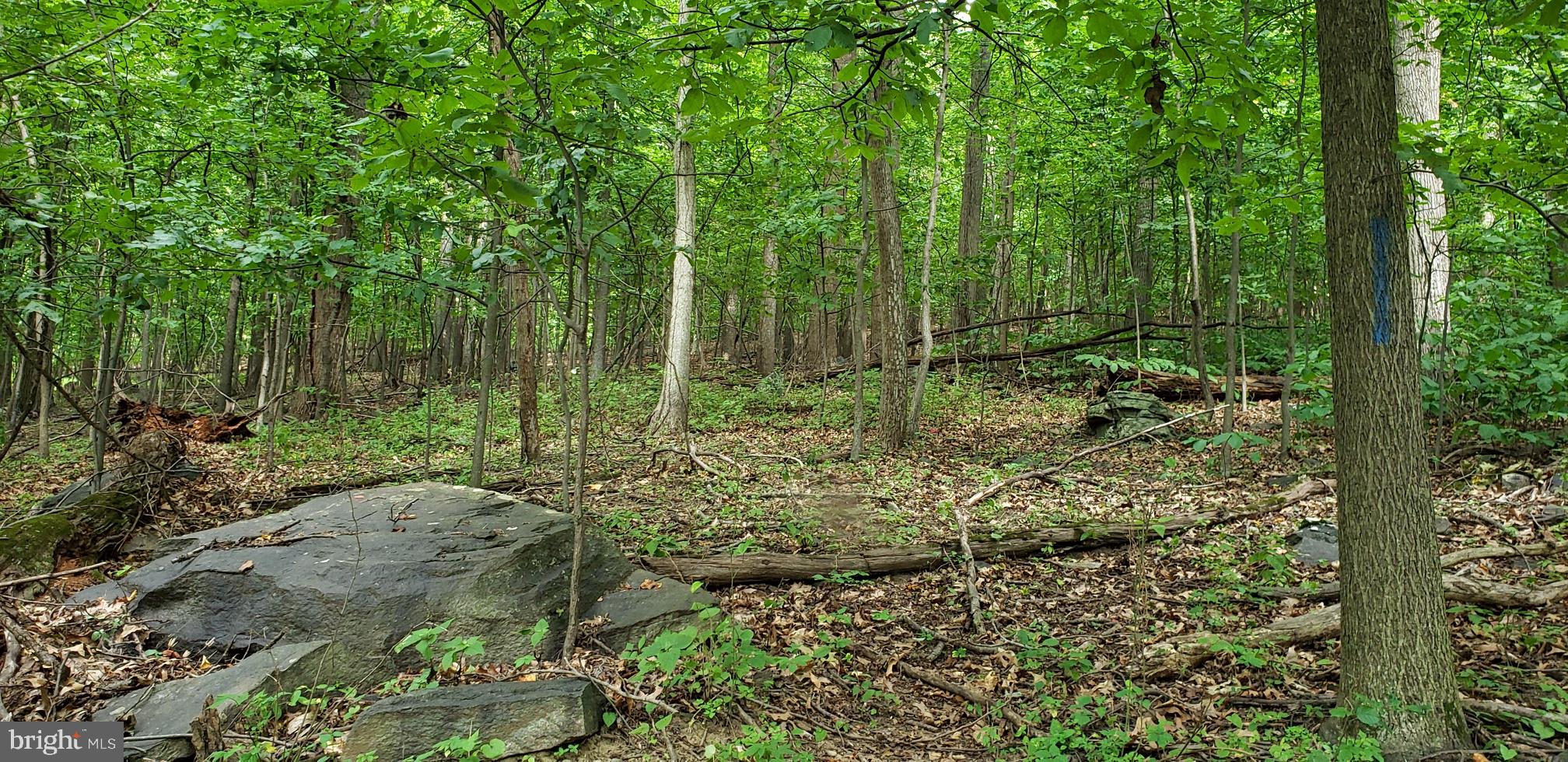 Townsend Road Rohrersville, MD 21779 - Photo 2 of 7