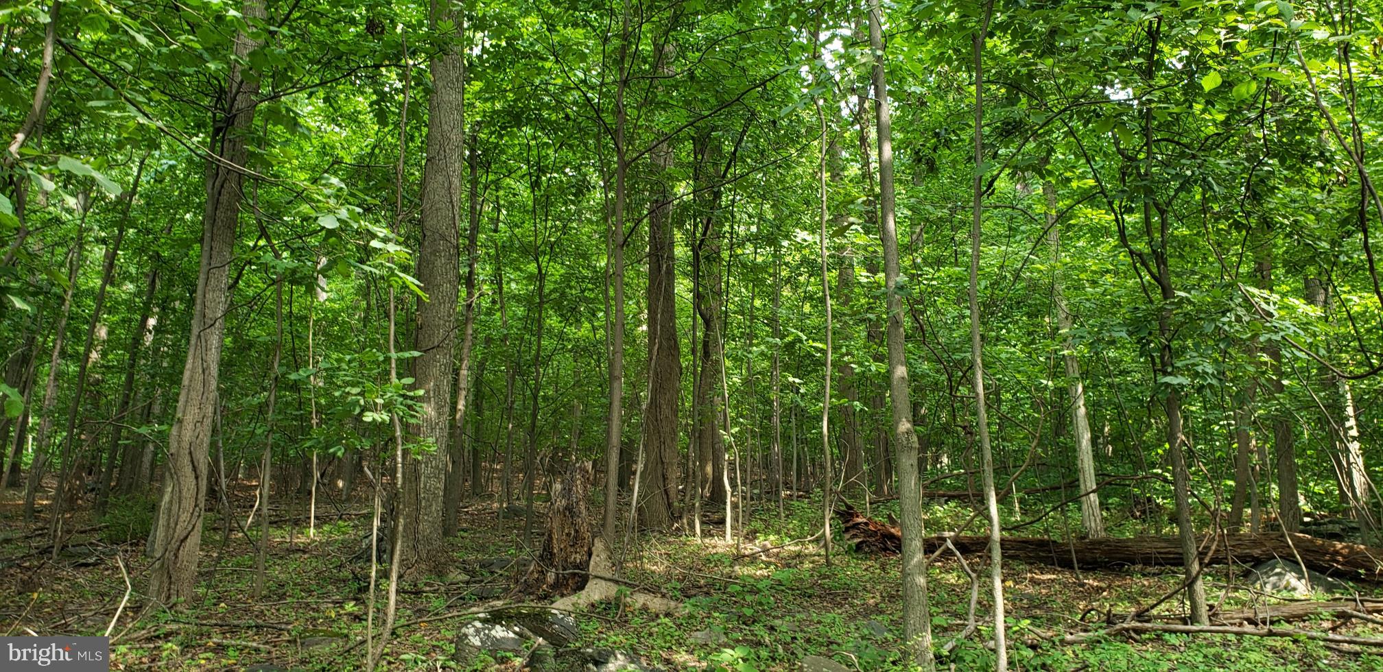 Townsend Road Rohrersville, MD 21779 - Photo 3 of 7