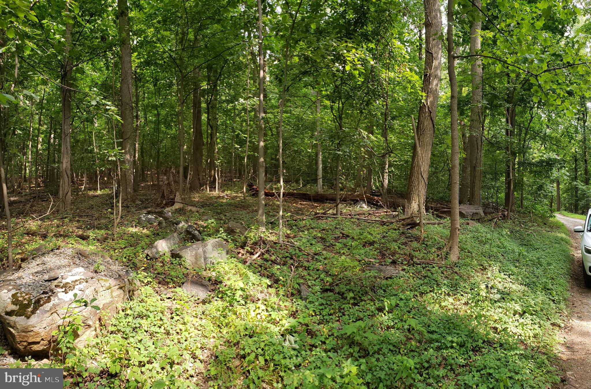 Townsend Road Rohrersville, MD 21779 - Photo 4 of 7