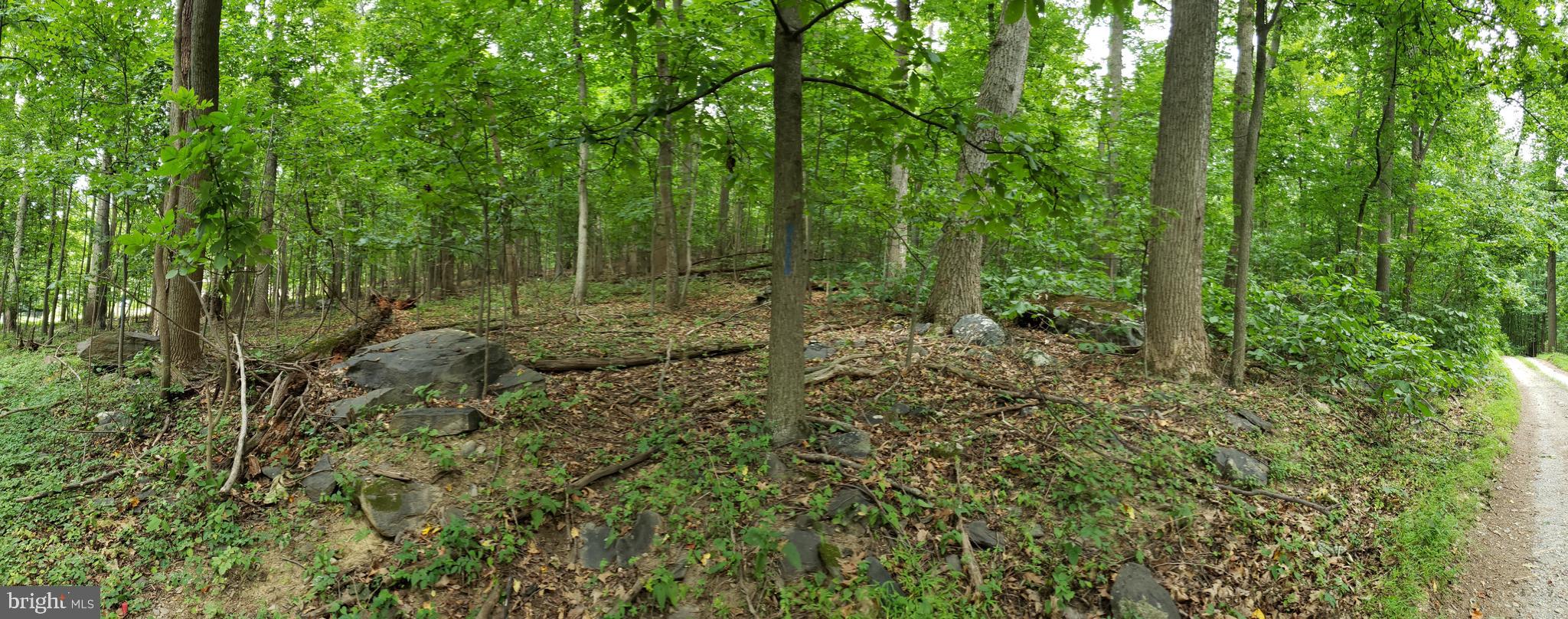 Townsend Road Rohrersville, MD 21779 - Photo 5 of 7