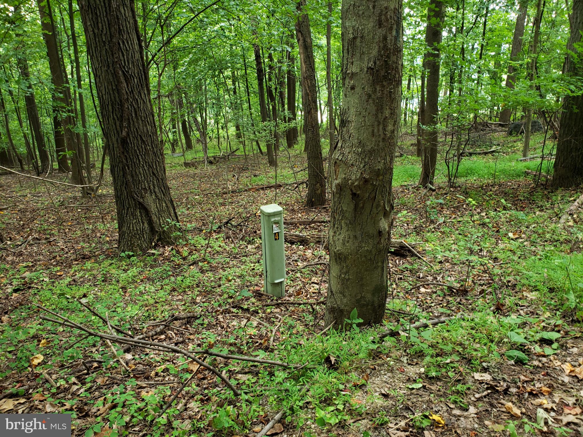 Townsend Road Rohrersville, MD 21779 - Photo 6 of 7