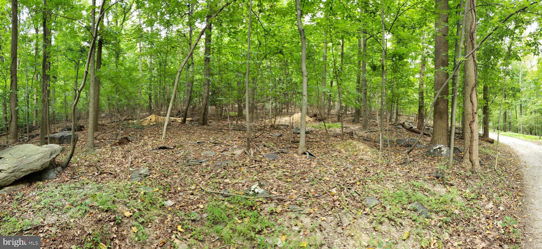 Townsend Road Rohrersville, MD 21779 - Photo 7 of 7