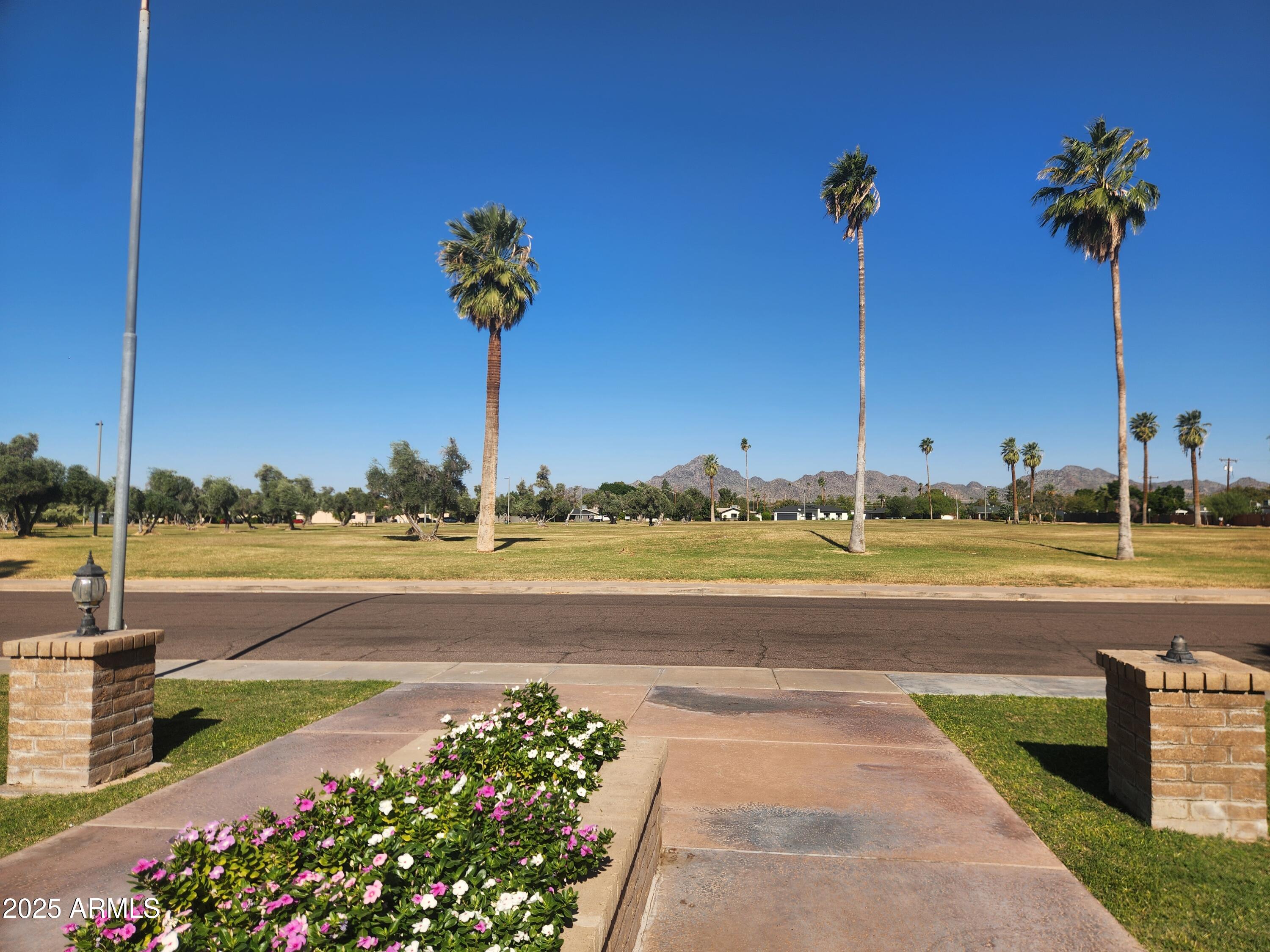 3033 East Devonshire Avenue, Unit 1028 Phoenix, AZ 85016 - Photo 26 of 27 a view of a swimming pool with a yard and a large tree