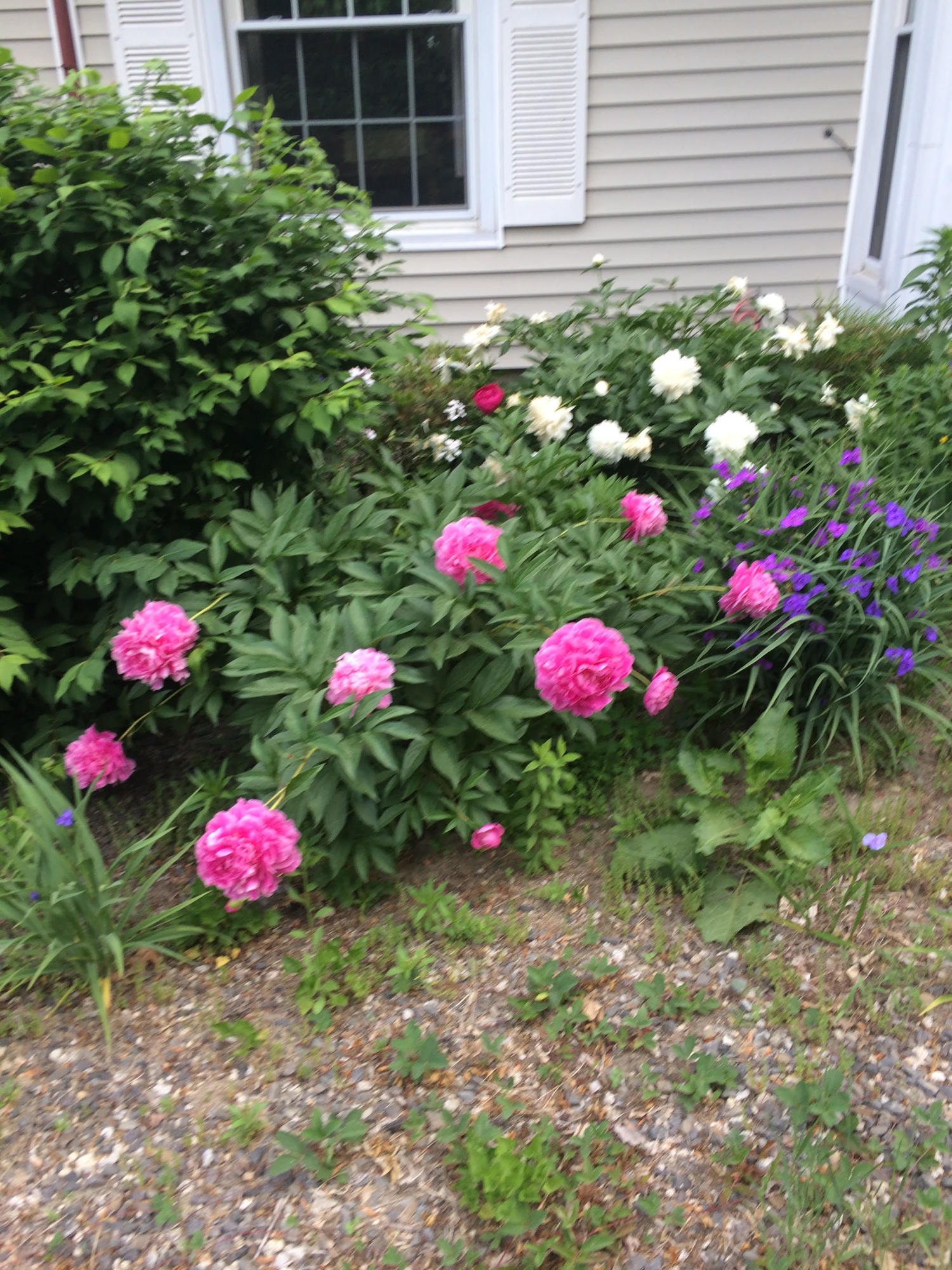 73 Flaggy Meadow Road Gorham, ME 04038 - Photo 40 of 42 b