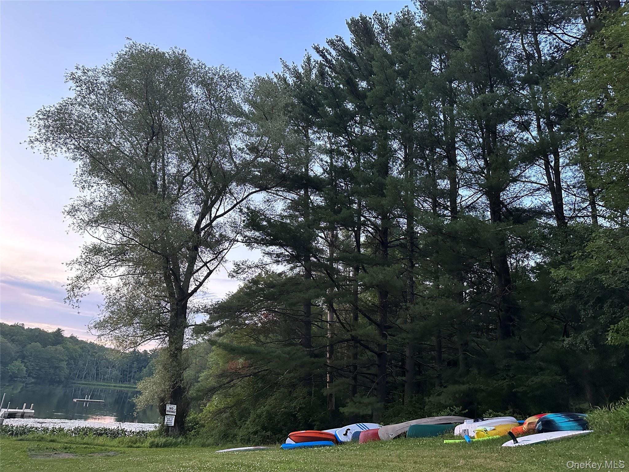 42 Lake Pleasant Road Staatsburg, NY 12580 - Photo 29 of 34 View of property's community with a view of trees