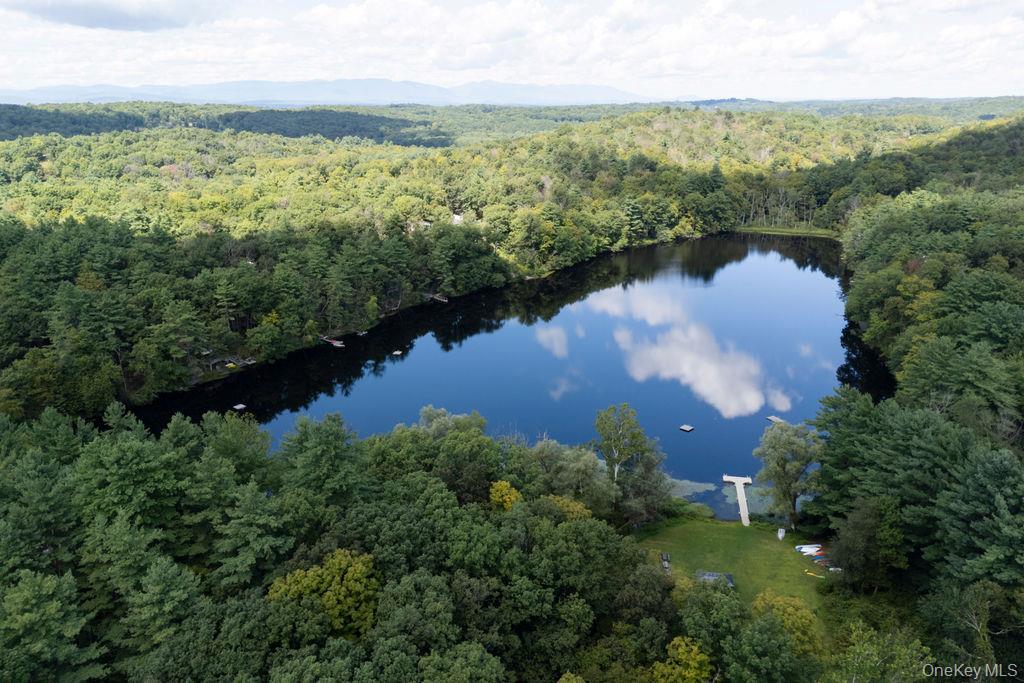 42 Lake Pleasant Road Staatsburg, NY 12580 - Photo 30 of 34
