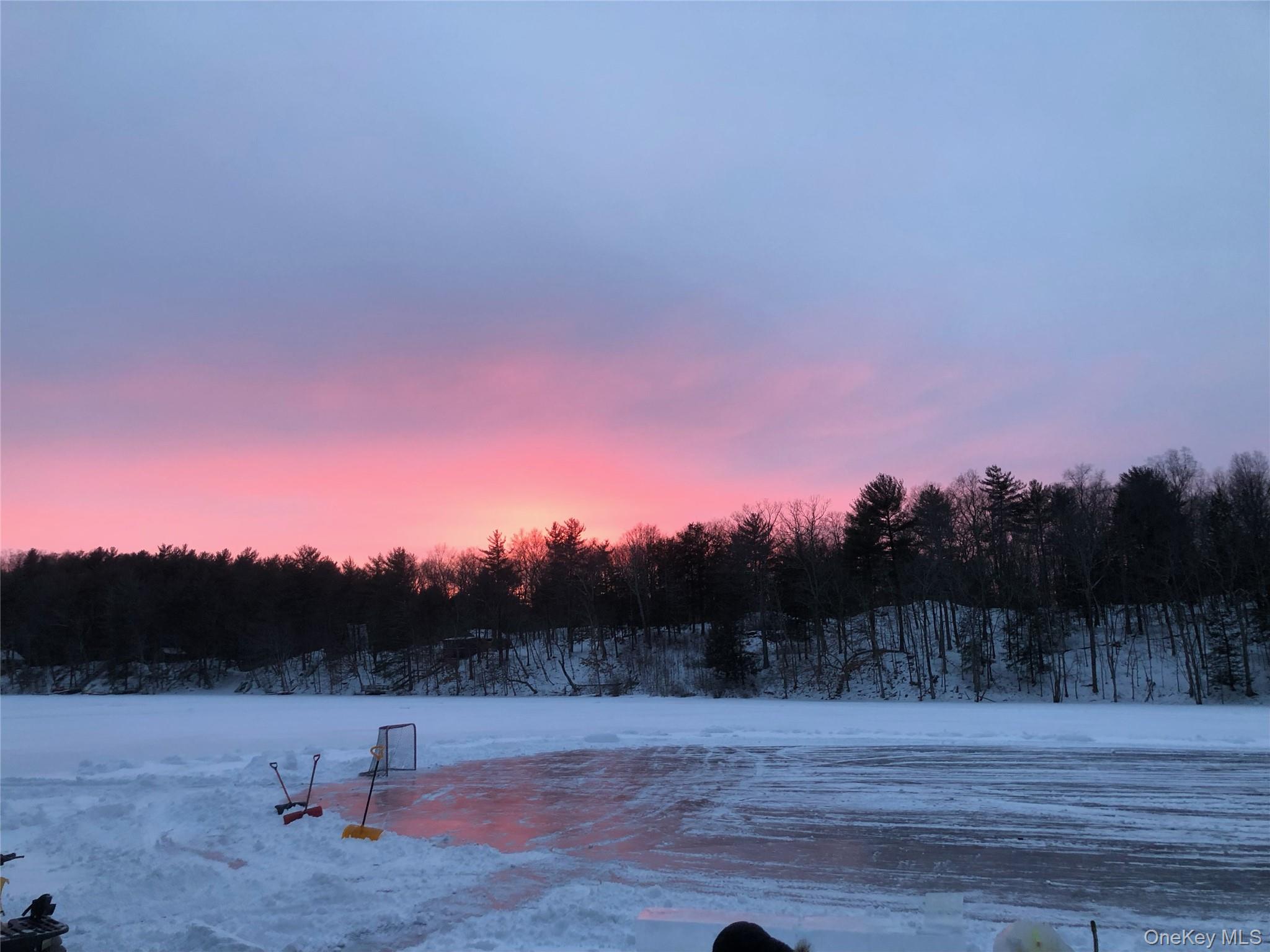 42 Lake Pleasant Road Staatsburg, NY 12580 - Photo 32 of 34 Frozen lake with ice skating rink