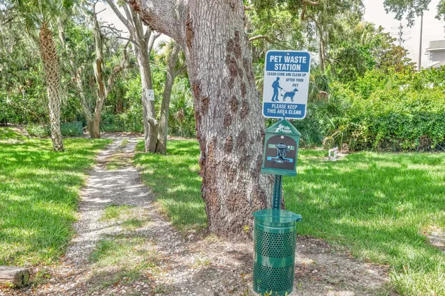 a garden with trees in front of it