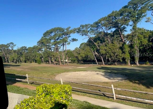 9430 Nakoma Way, Unit 12 Weeki Wachee, FL 34613 - Photo 19 of 20 a view of a yard with an trees
