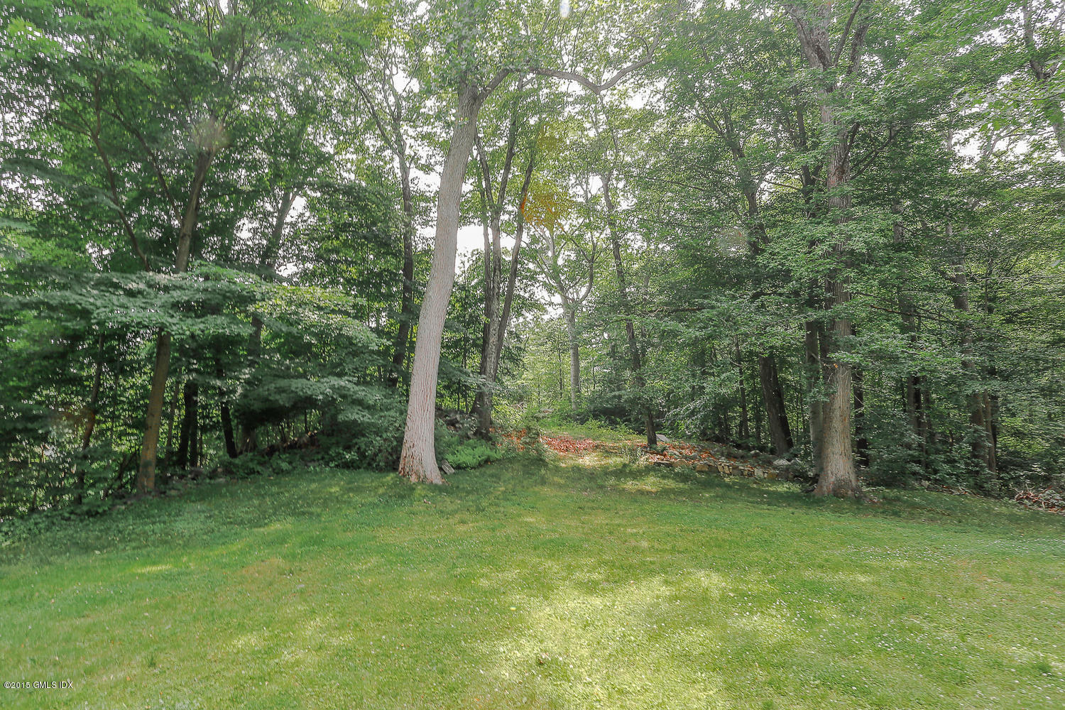 84 Cognewaugh Road Cos Cob, CT 06807 - Photo 12 of 18 a backyard of a house with lots of green space and trees