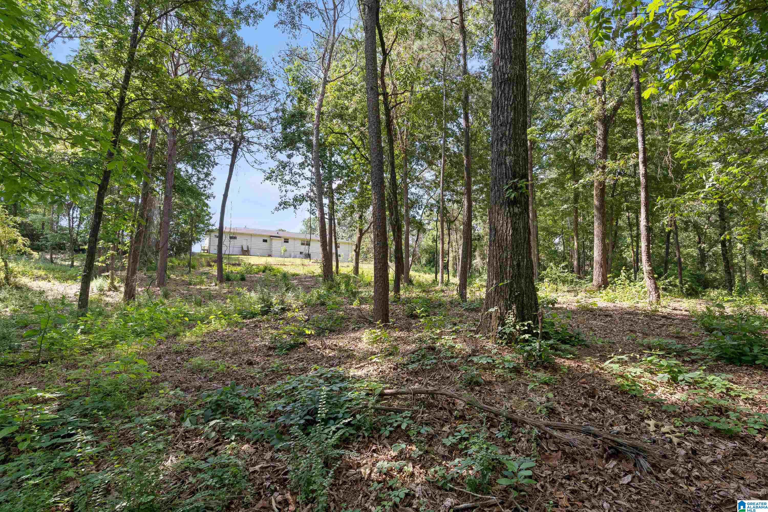 3653 Guyton Road Birmingham, AL 35244 - Photo 36 of 39