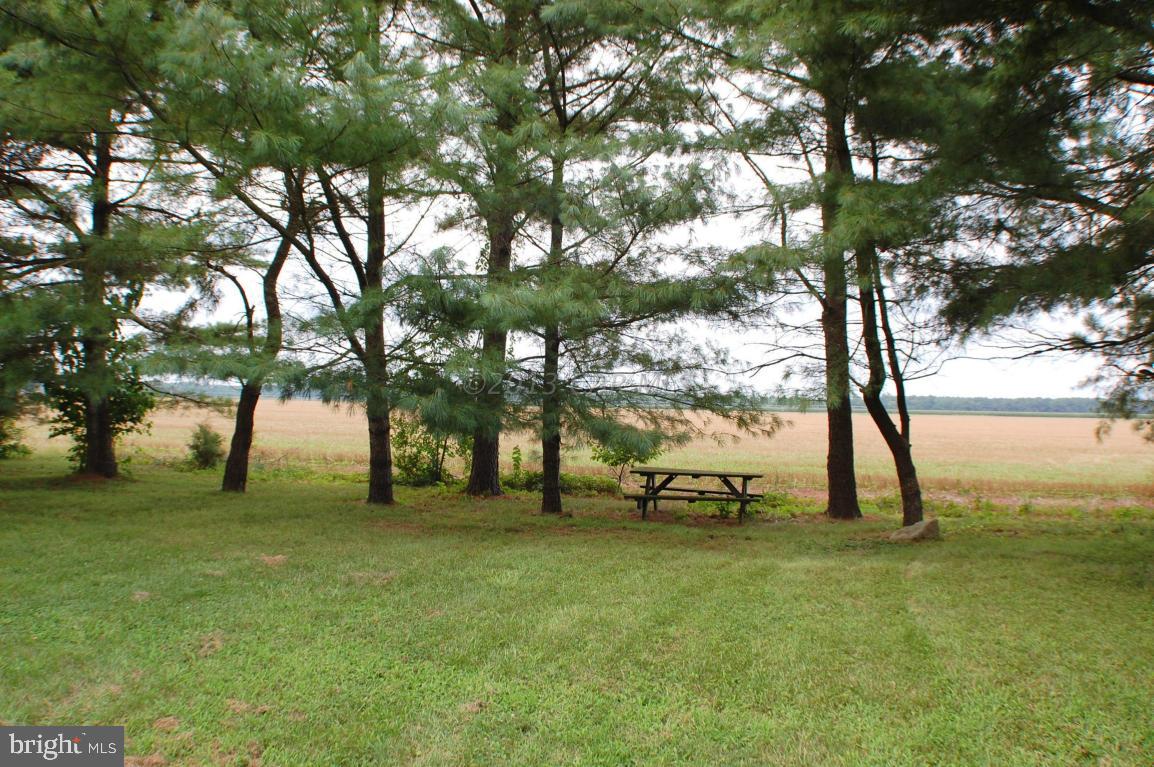 5743 George Island Landing Road Stockton, MD 21864 - Photo 24 of 36 Gallery Image 24