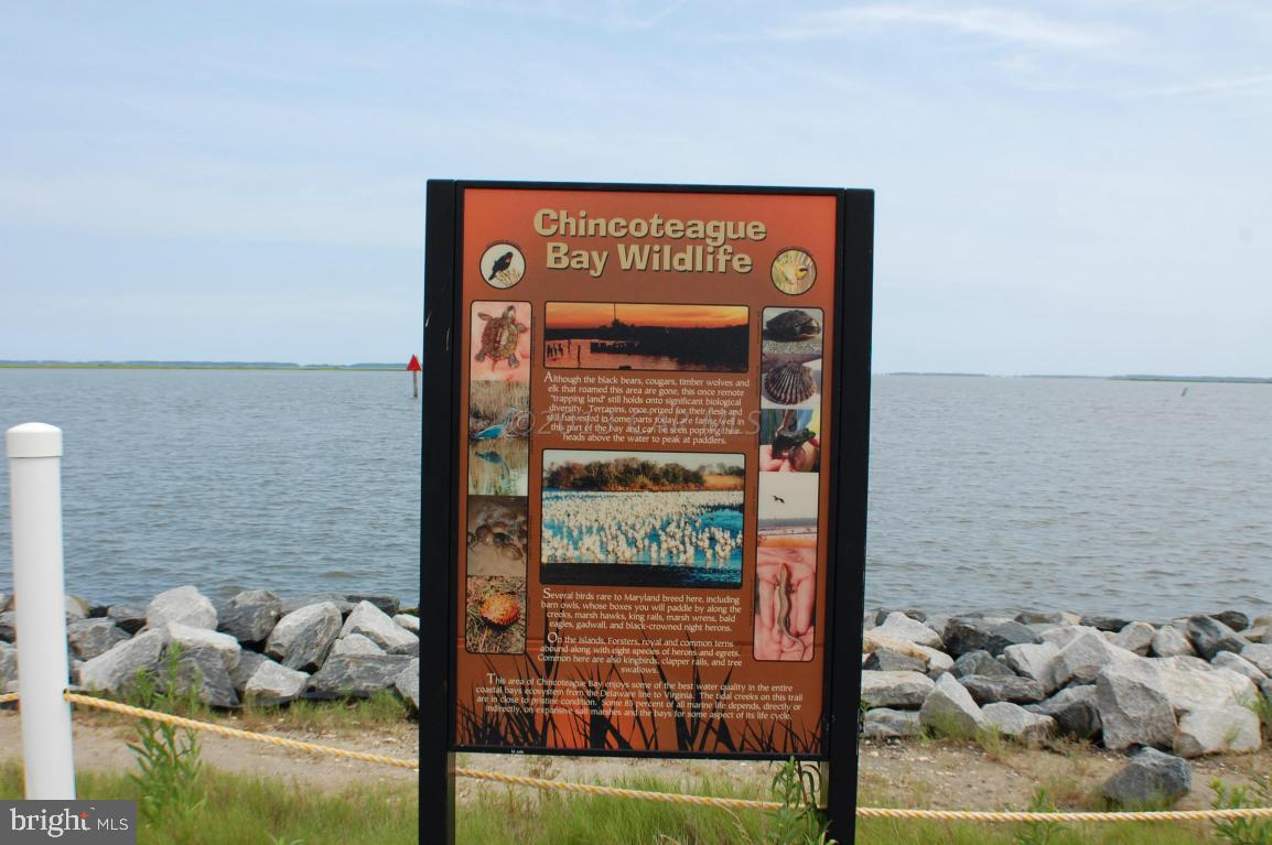 5743 George Island Landing Road Stockton, MD 21864 - Photo 36 of 36 Gallery Image 36