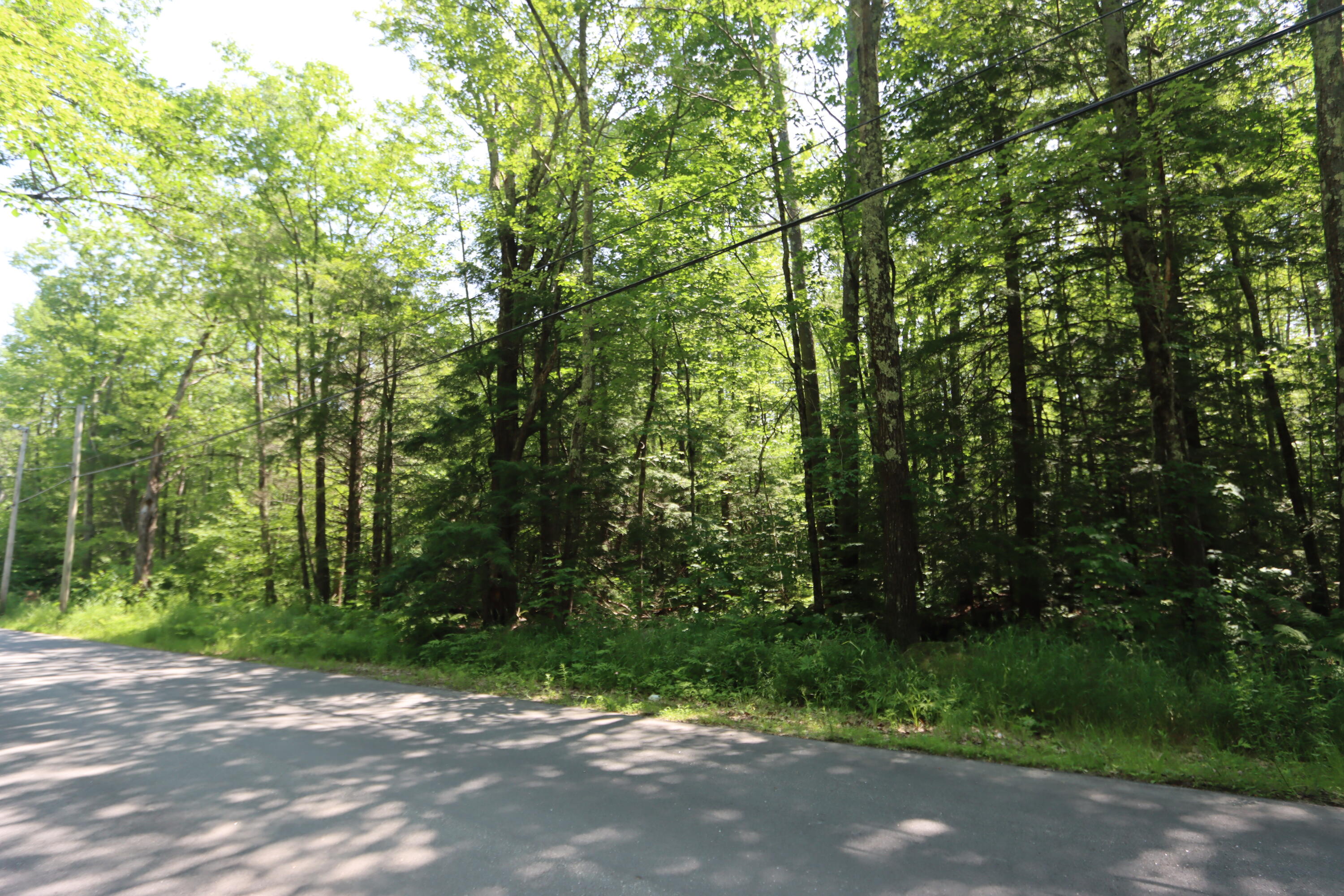 Lot 49-3 North Mountain Road Greene, ME 04236 - Photo 3 of 13 IMG_3049