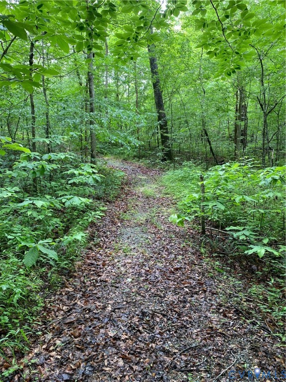 2526 Old Tavern Road Powhatan, VA 23139 - Photo 92 of 94