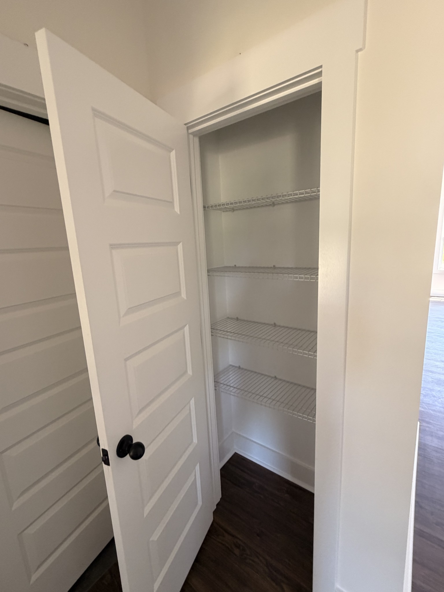 527 Old Hopkinsville Road Cadiz, KY 42211 - Photo 19 of 31 a view of walk in closet